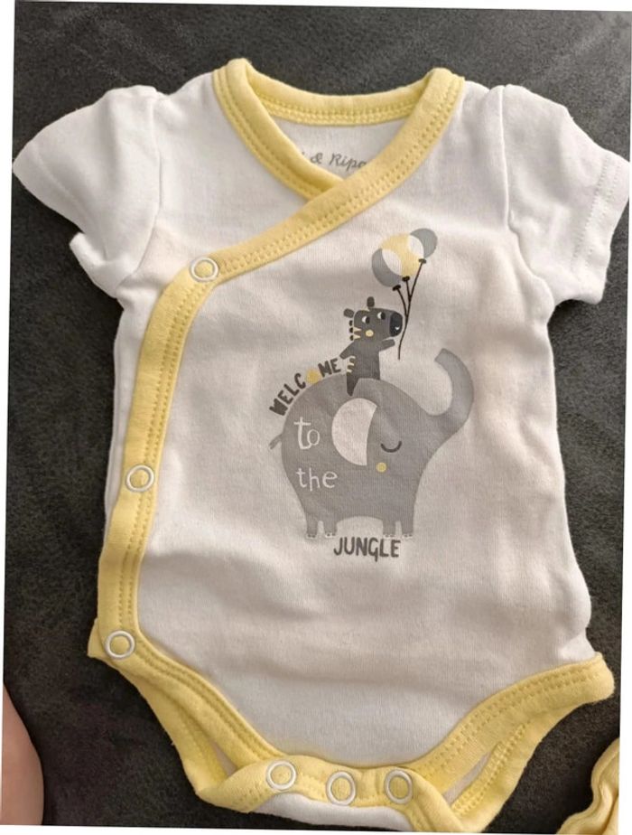 Lot de 5 bodies manches courtes 0 mois/ prema - photo numéro 3