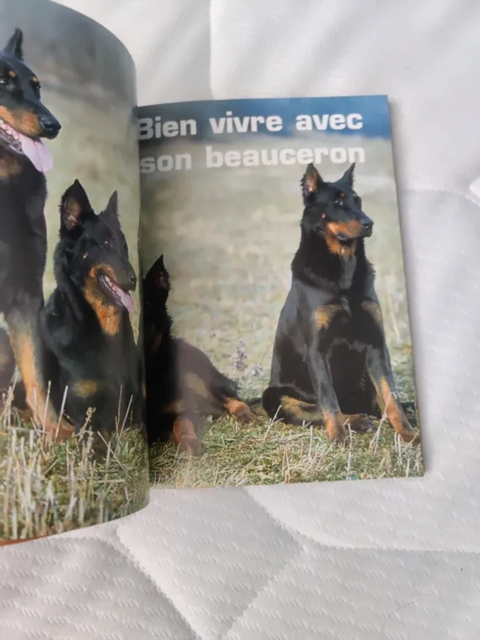 Livre sur le chien beauceron - photo numéro 4