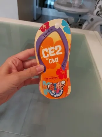 Les incollables tong de plage ce2 au cm1
