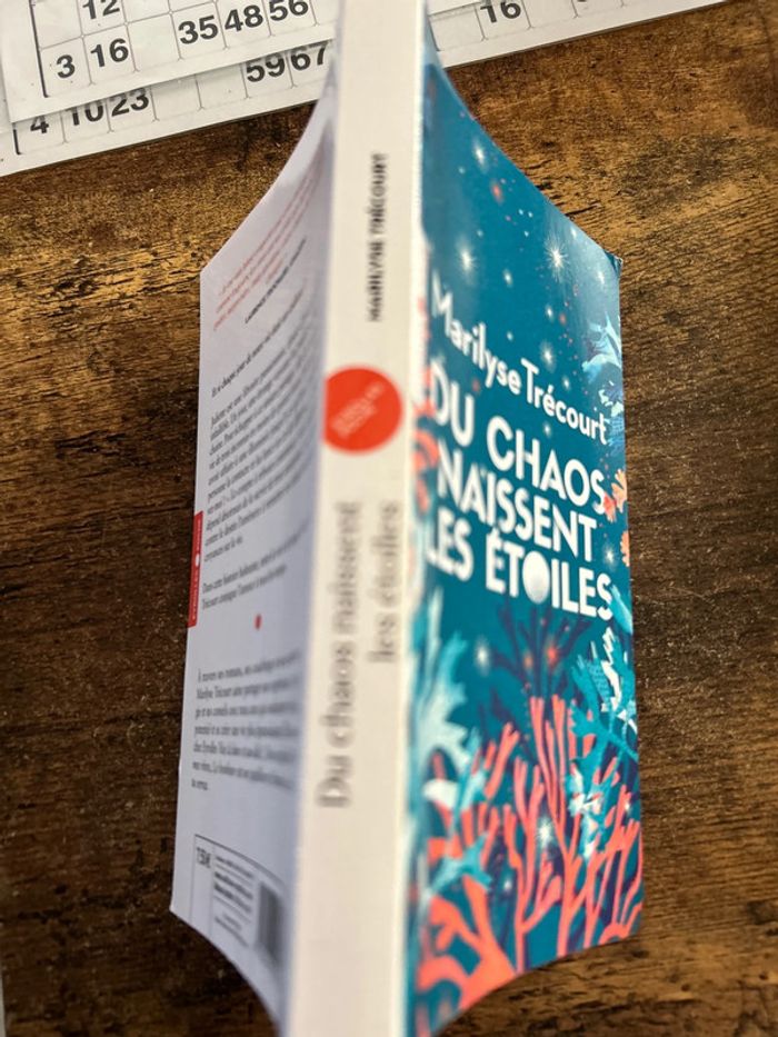 du chaos naissent les étoiles - photo numéro 3