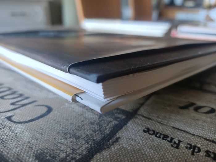 Livre Rembrandt (Michael Bockemühl / edition taschen) - photo numéro 4