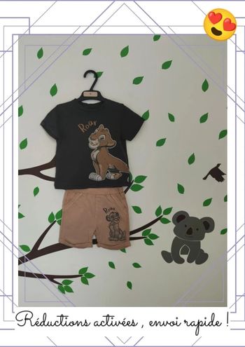 Ensemble 12 mois roi lion