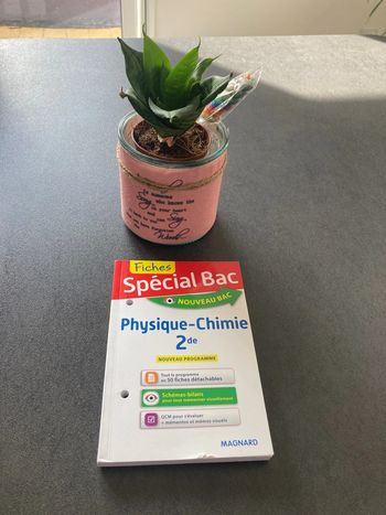 Physique chimie fiche seconde bac lycée Magnard cours exercices