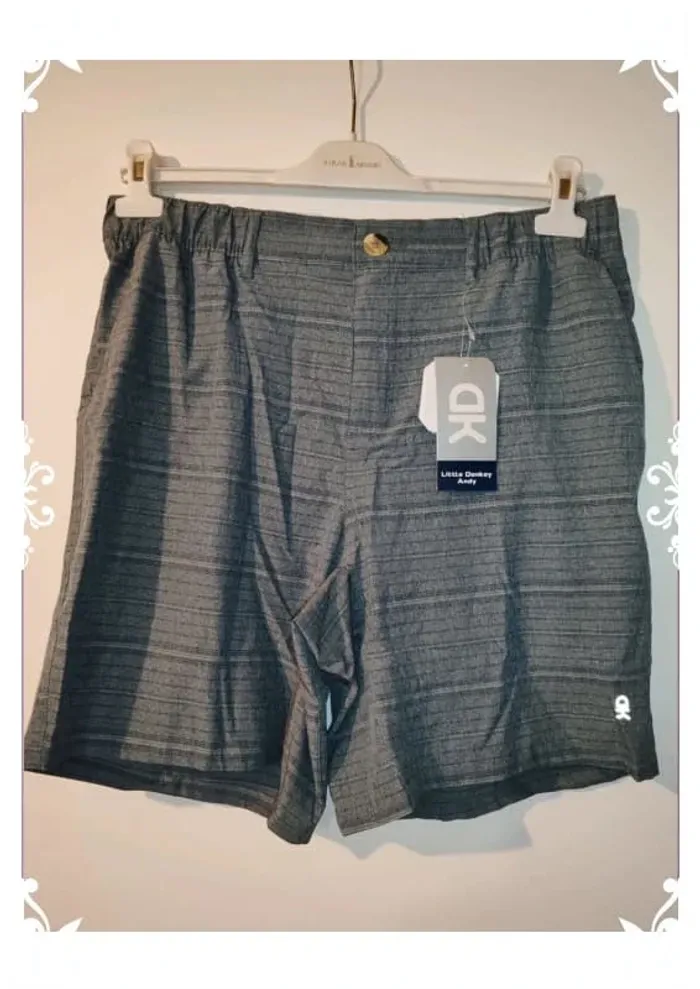 Short little donkey Andy