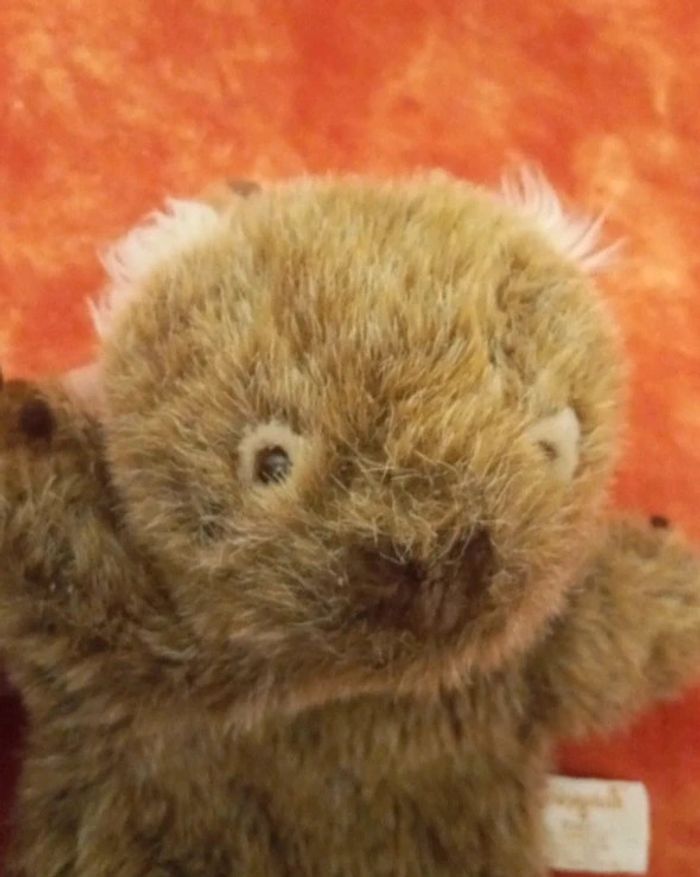 Marionnette Minkplush de Willy le wombat marmotte, castor.. - photo numéro 2