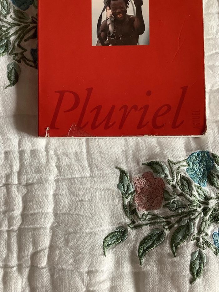 Négrologie, pourquoi l’Afrique meurt, par Stephen Smith - photo numéro 3