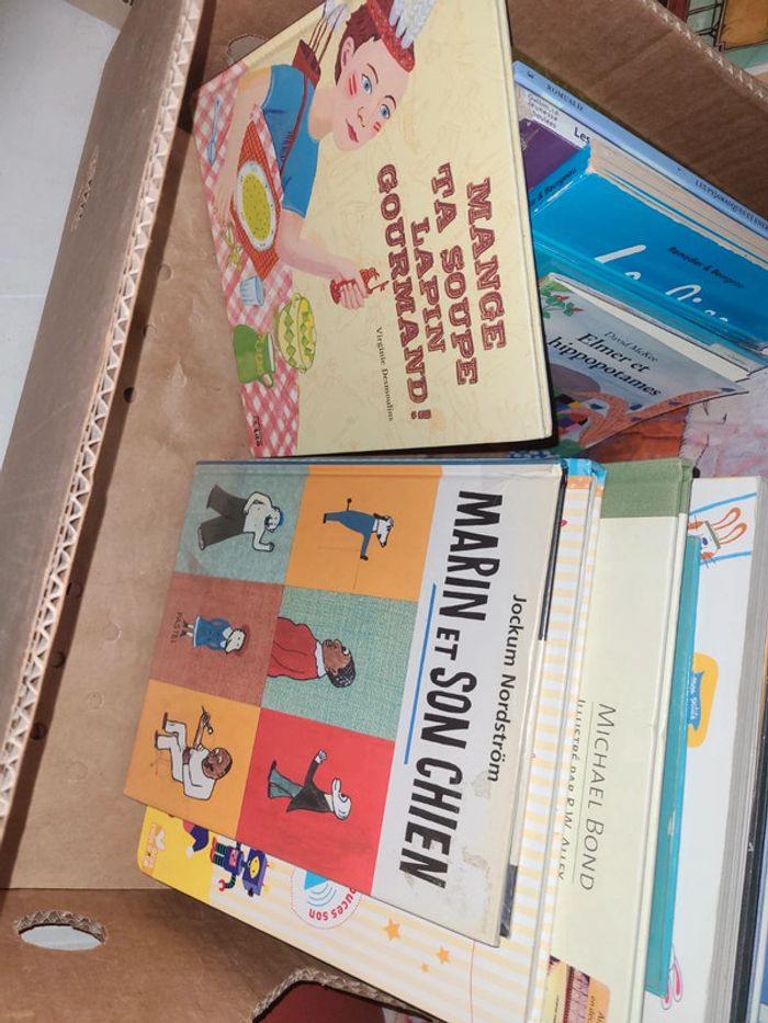 Gros lots de livre - photo numéro 5