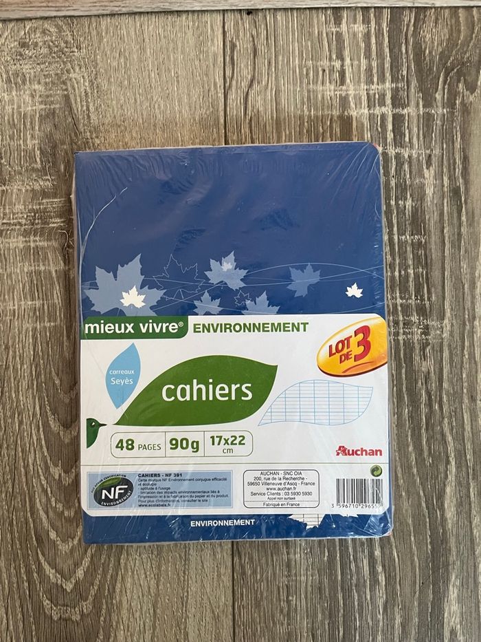 Lot de 3 cahier de brouillon