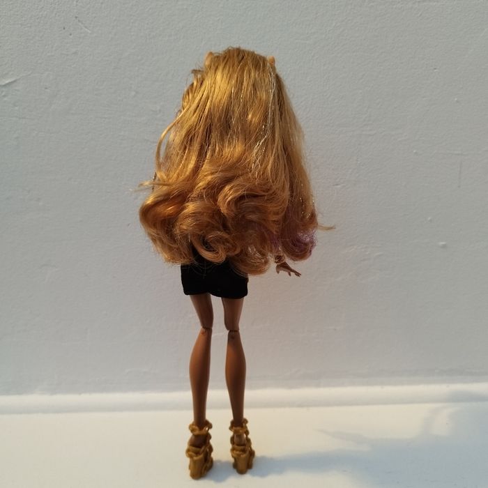 Monster High Clawdeen Wolf 13 Wishes - photo numéro 4