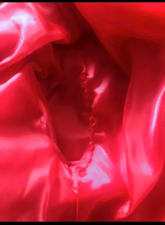 Blouson - photo numéro 2