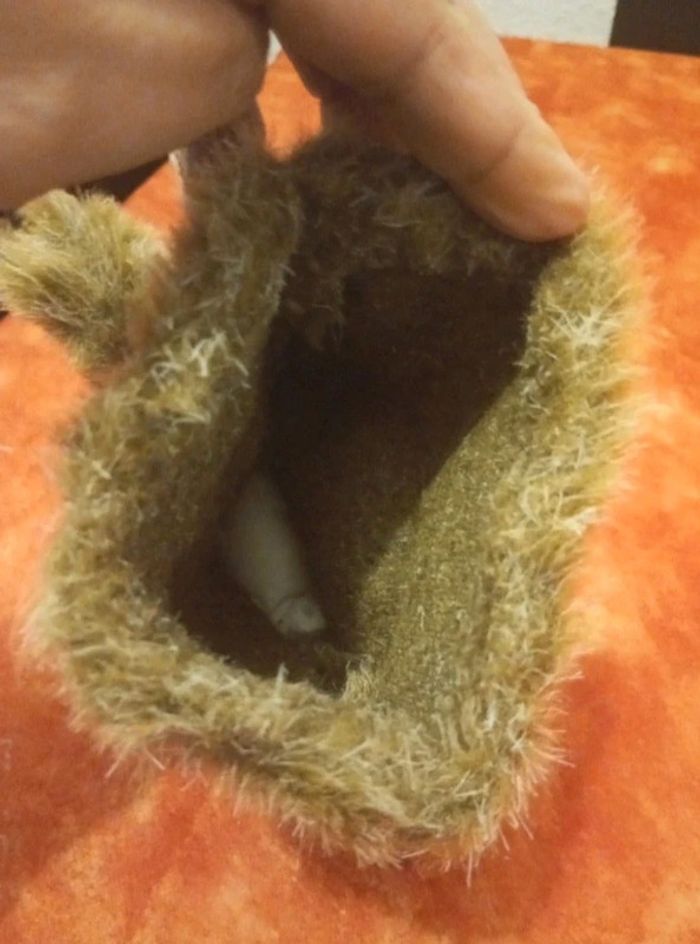 Marionnette Minkplush de Willy le wombat marmotte, castor.. - photo numéro 3