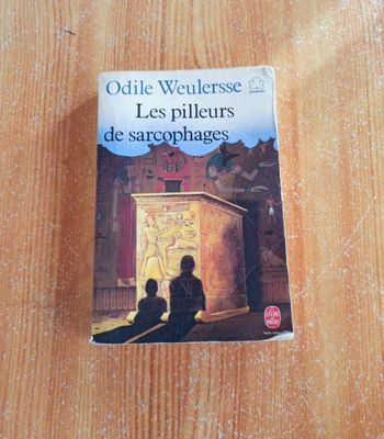 Livre les pilleurs de sarcophages vintage