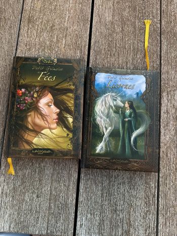 Lot de 2 livres petit grimoire