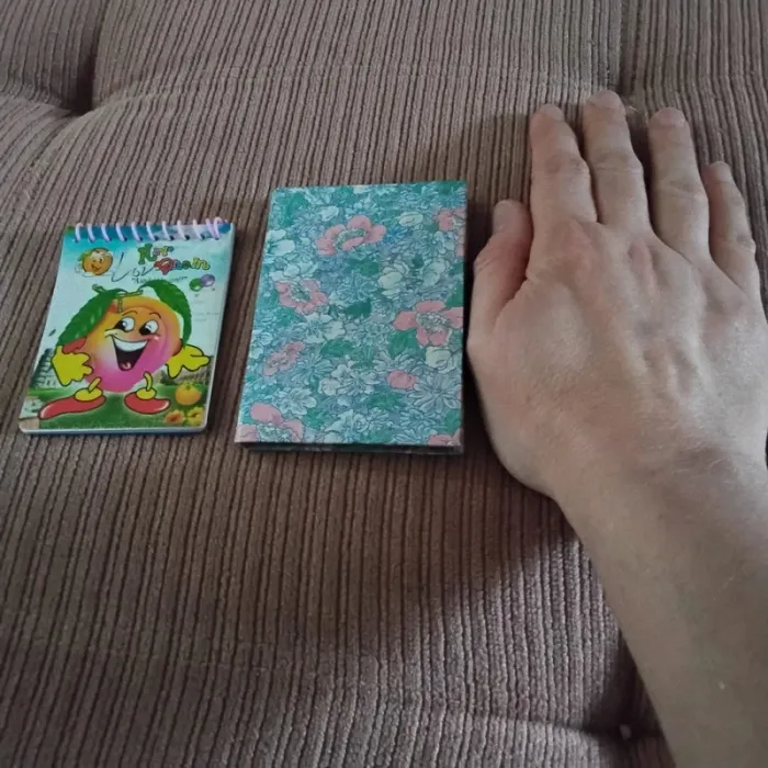 Petits carnets - photo numéro 2