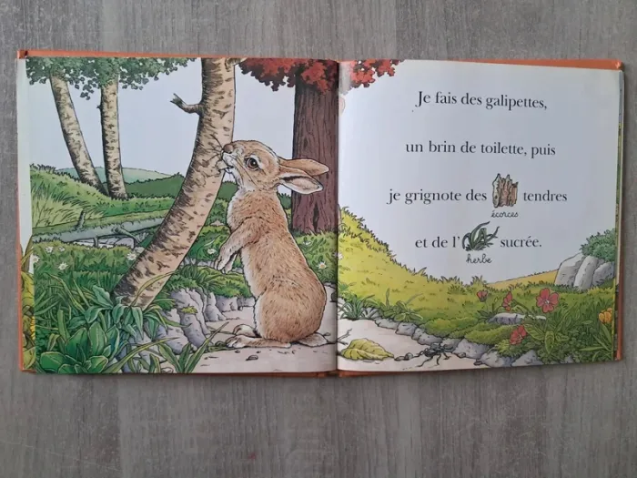 Livre la journée du petit lapin bonjour édition Lito - photo numéro 4