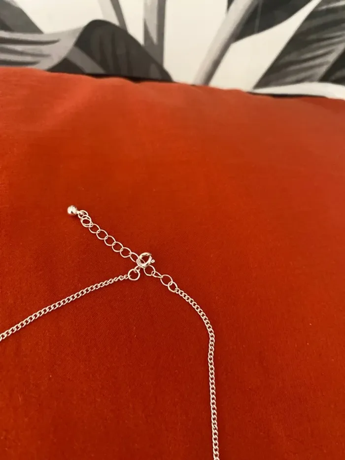 Collier - photo numéro 3