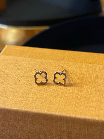 Boucles d’oreilles en acier, inoxydable