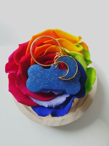 Médaille chien os et lune