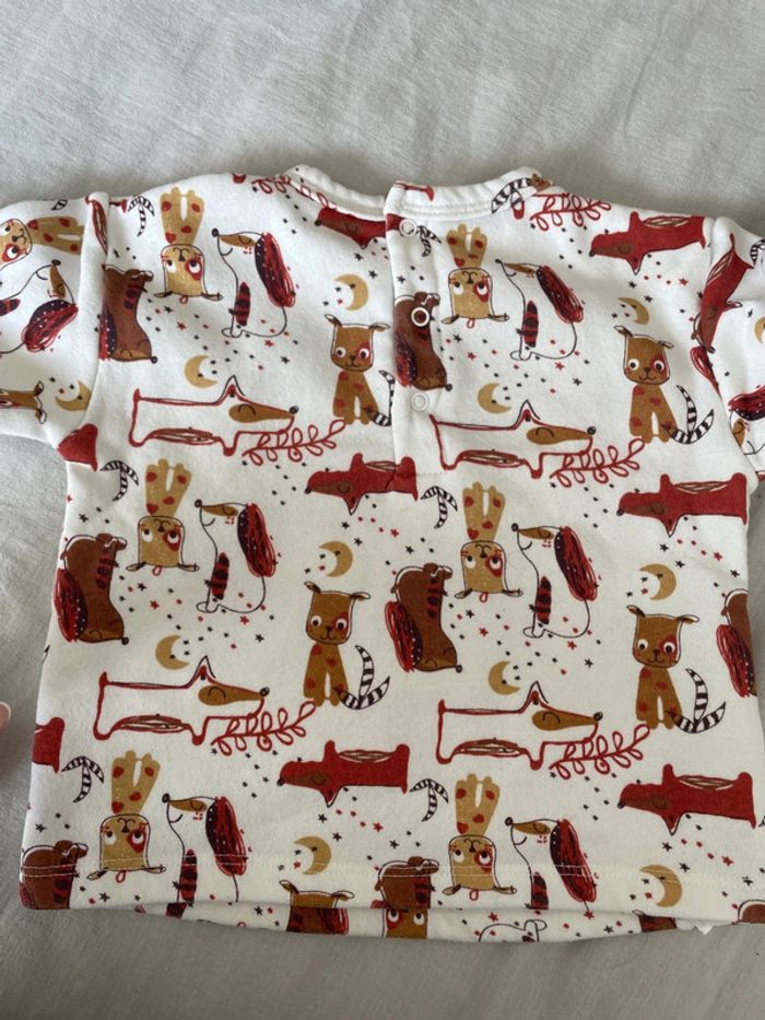 Pull chien petit béguin T12M 80cm - photo numéro 3