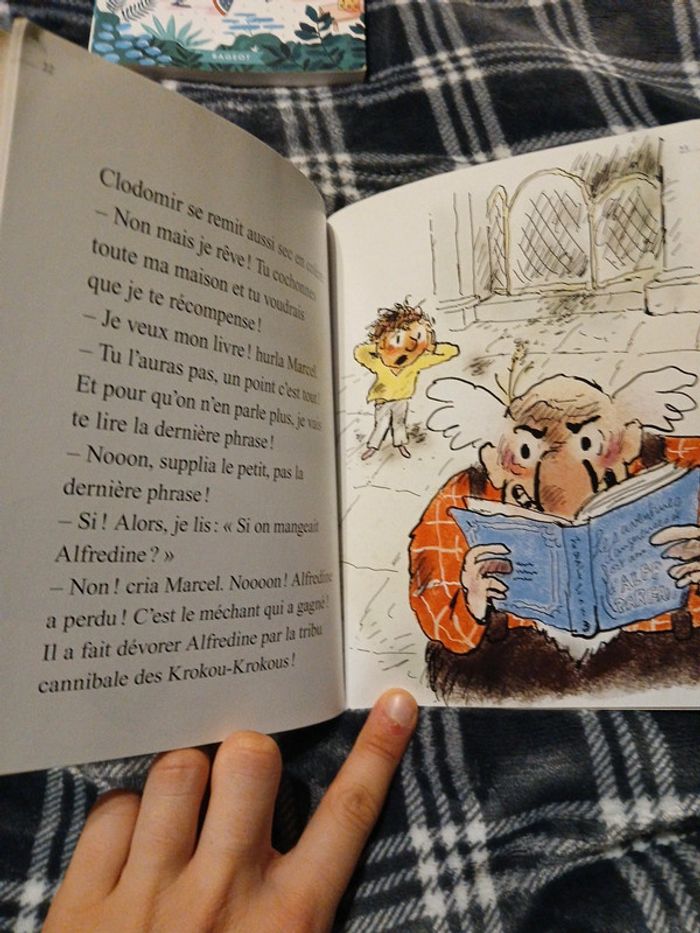 Livre - photo numéro 3