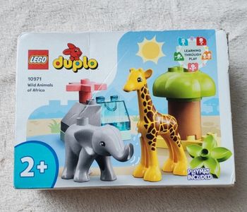 Lego Duplo à utiliser à partir de 2 ans