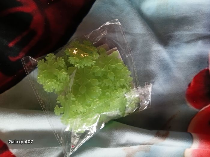 Étoiles de neige phospho