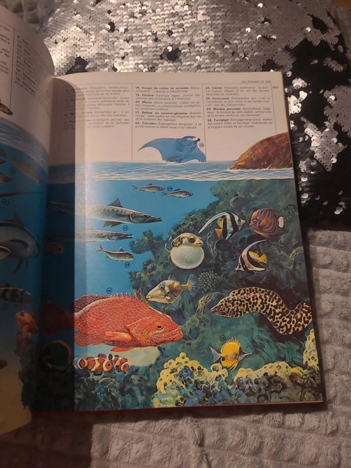 Tout l'univers encyclopédie de l'âge scolaire - photo numéro 6