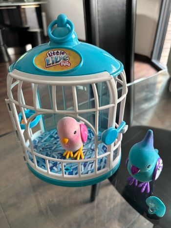 Cage à oiseaux