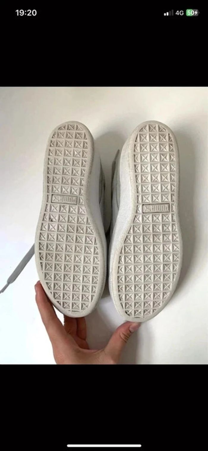 Puma kaki clair - photo numéro 9
