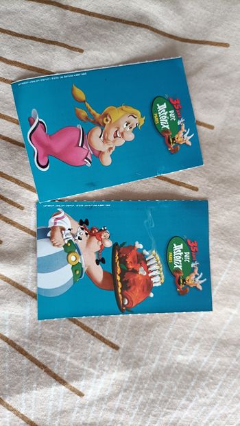 Ticket Parc Astérix