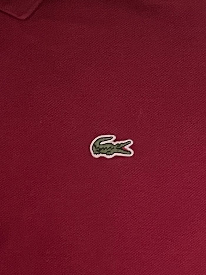Polo Lacoste - photo numéro 2