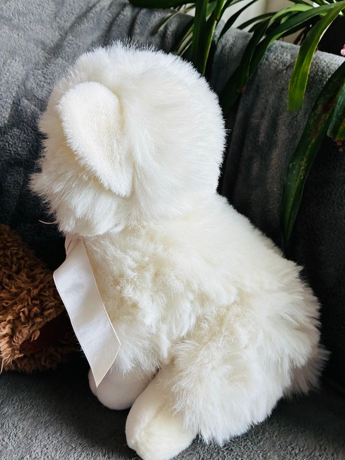 Lot peluches chat - photo numéro 3