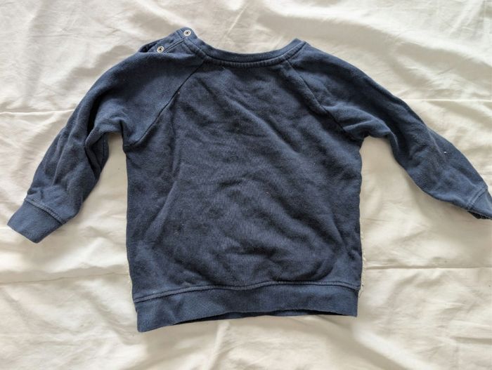 Pull ours - photo numéro 2