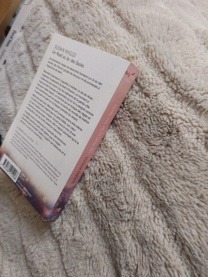 Un Noël au lac des saules - photo numéro 5