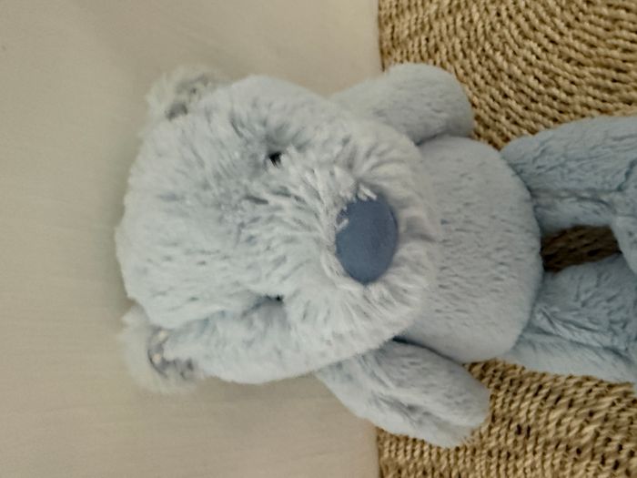 JELLYCAT DOUDOU OURS POIL BLEU JELLY KITTEN - photo numéro 2