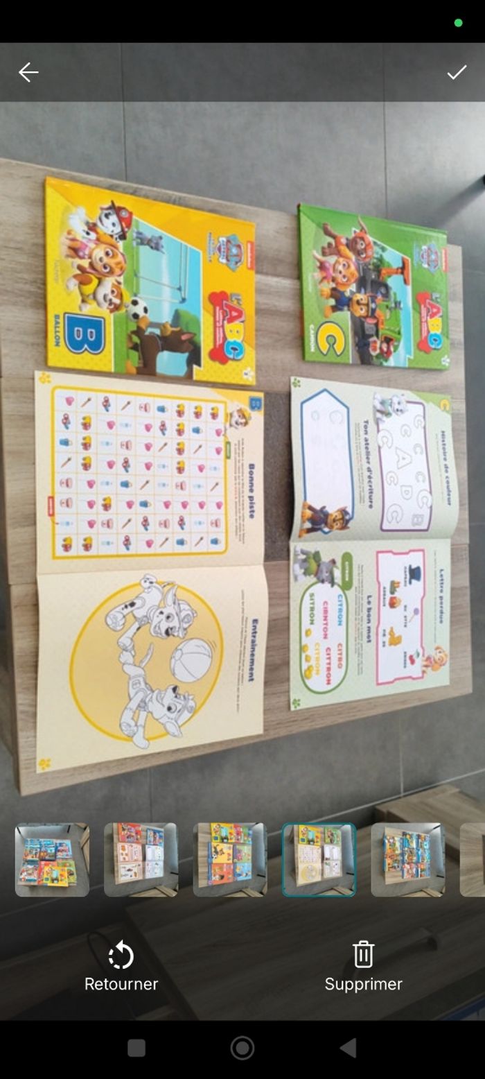 Lot livres  pat patrouille - photo numéro 3