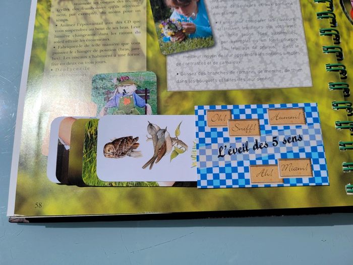 Le Carnet Jardinier, animé, Astuces et Petits secrets à cultiver 🪷 (35) - photo numéro 18