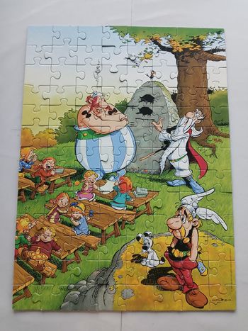 Puzzle asterix
