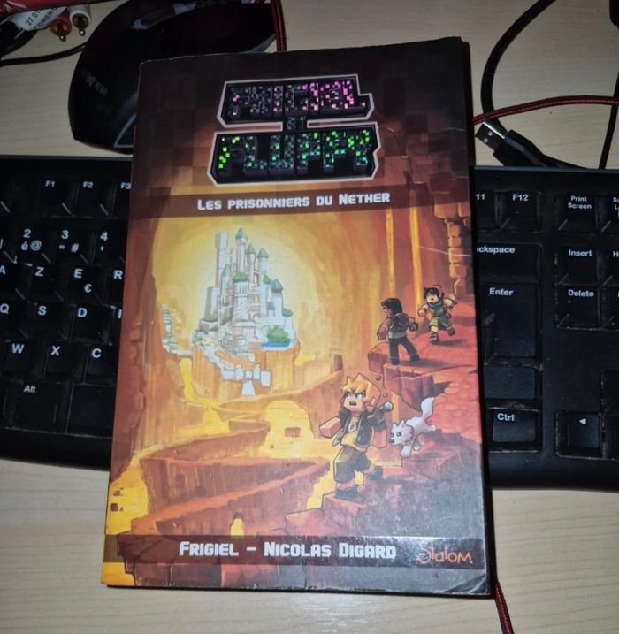 2 livres Frigiel et Fluffy tome et 2 - photo numéro 1