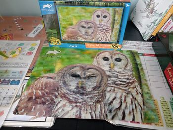 Puzzle 3d 100 pièces Hibou neuf 1€5