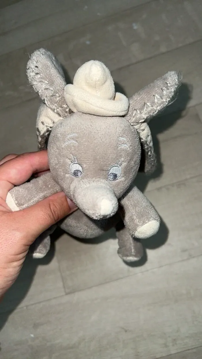 Petit dumbo - photo numéro 2