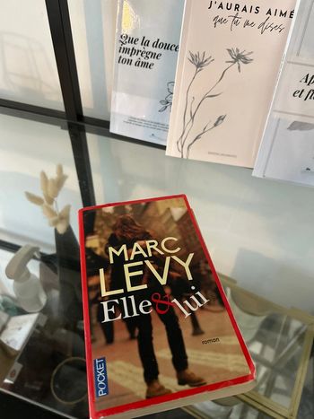 Livre de Marc Levy Elle et lui