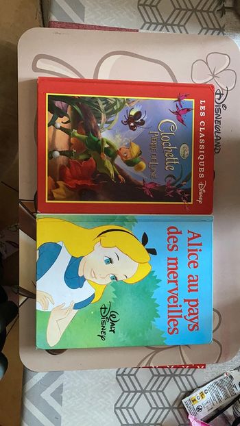 Lot de 2 livres Disney