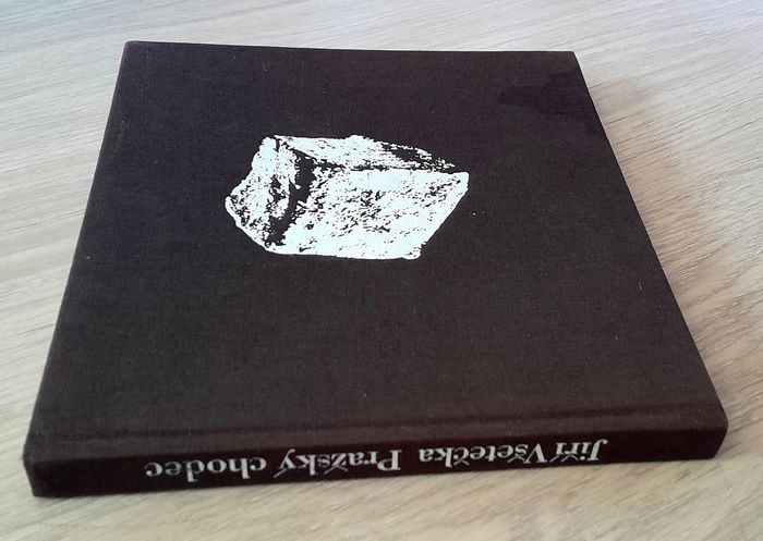 un passant ce Prague (tchèque) - jiri vsetecka prazsky chodec - photo numéro 4