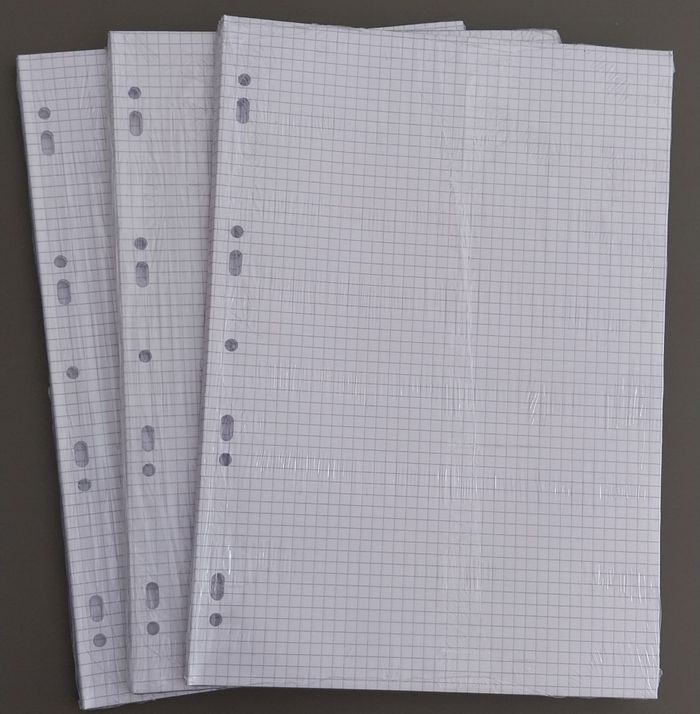 Copies doubles petits carreaux - photo numéro 3