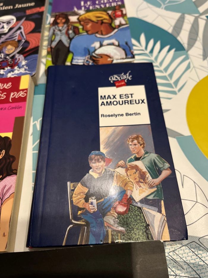 Livre ado et pré ado - photo numéro 4