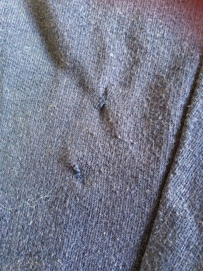 Jogging marine 10 ans - photo numéro 3