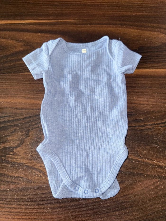 Lot de trois joli bodies à manches courtes - photo numéro 2