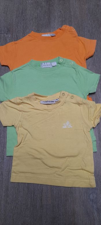 Lot tee shirt unis