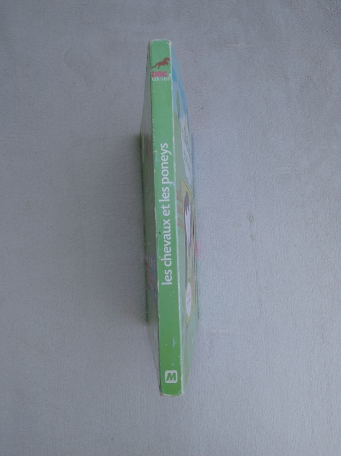 Livre Les chevaux et les poneys Mango - photo numéro 7
